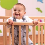 Millhouse Evacuation Cot