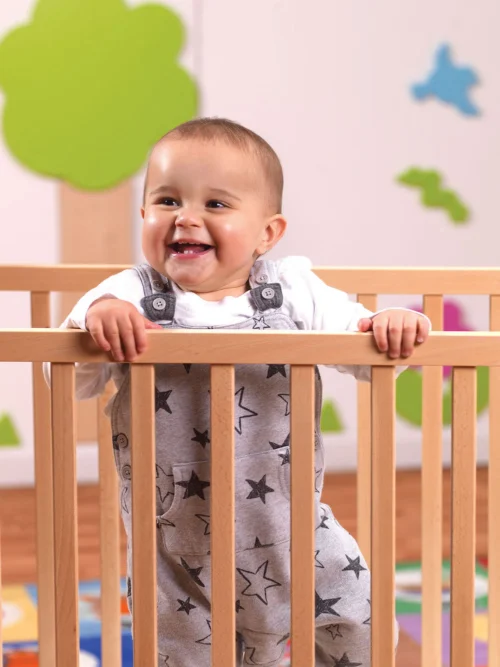 Millhouse Evacuation Cot